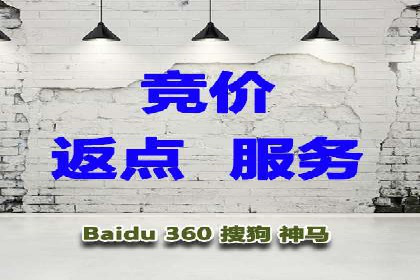 百度推广费用投入与品牌知名度提升的案例分析
